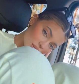 ديفيد شويمر وكورتنى كارديشان وكايلى جينز يحفزون الجمهور على المشاركة فى الانتخابات الرئاسية