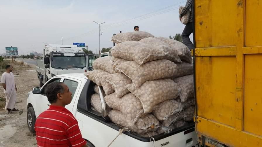 مستقبل وطن يوزع كراتين غذائية و100 طن بطاطس في كفر الشيخ 