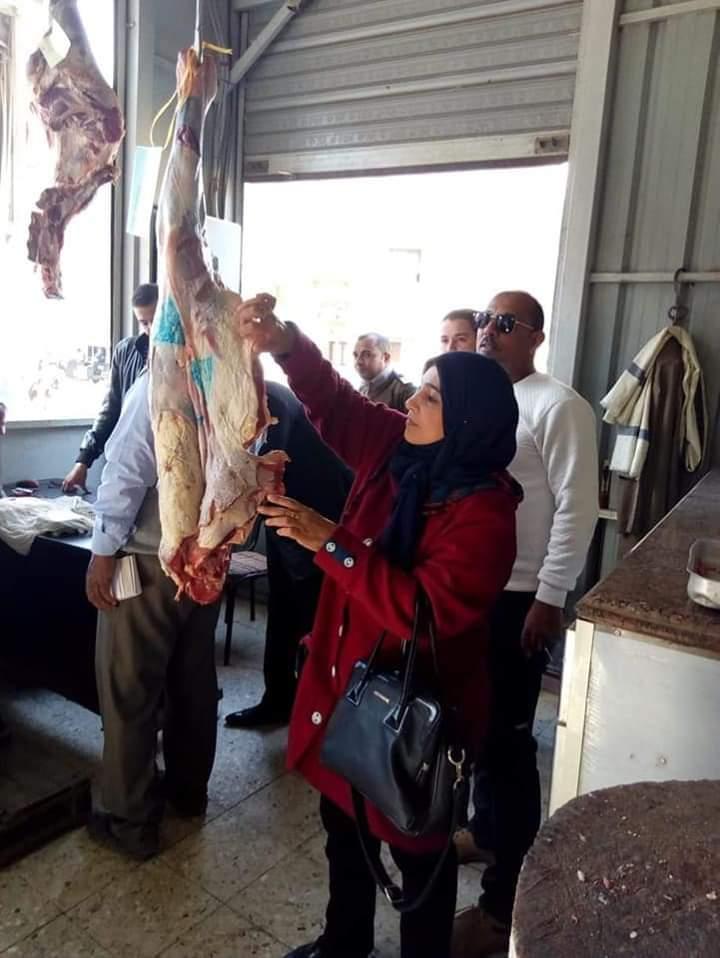 محافظة الدقهلية.. ضبط أكثر من 650 كيلو لحمه فاسده ومنتهي الصلاحية بمركز شربين