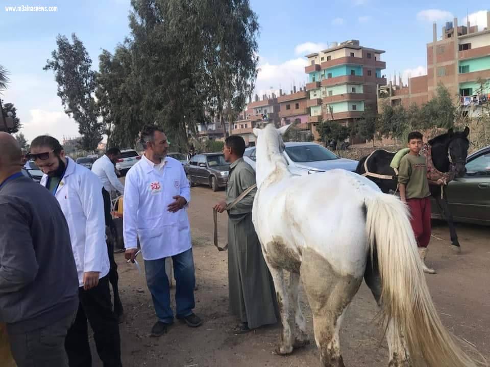 مستقبل وطن ينظم قافلة بيطرية بالشرقية بالتعاون مع وزارة الزراعة