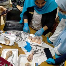 ختام الدورة التدريبية لأساسيات تشخيص وعلاج امراض الحيوانات الأليفة بكفر الشيخ