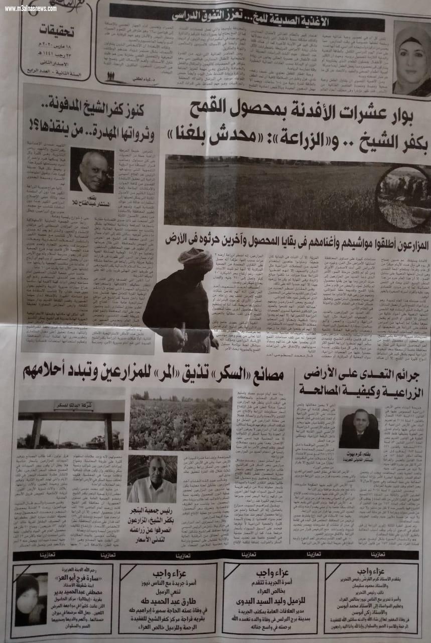 دكتورة لمياء لطفى تكتب عن الأغذية الصديقة للمخ... تعزز التفوق الدراسي