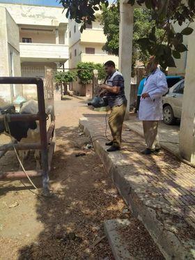 محافظ كفر الشيخ : تحصين 30155 طائراً ضد الأمراض الوبائية