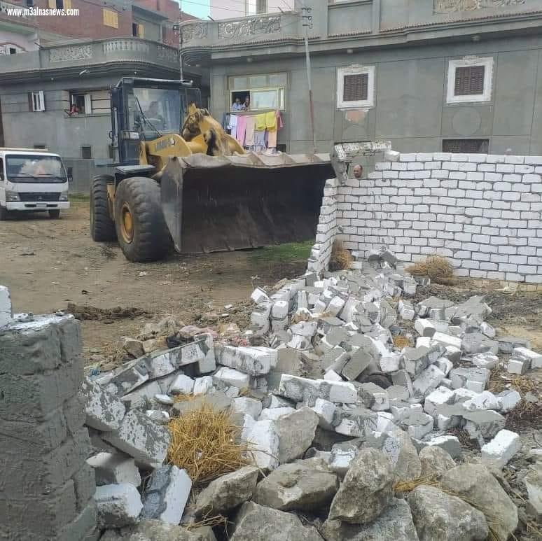 البحيرة :رفع ٩٠ طن قمامة ومخلفات بنطاق مركز ومدينة دمنهور .