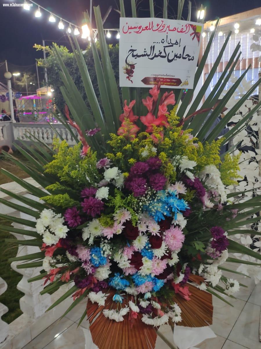 نقابة محامين كفر الشيخ تهنىء احمد وياسمين بالزفاف السعيد