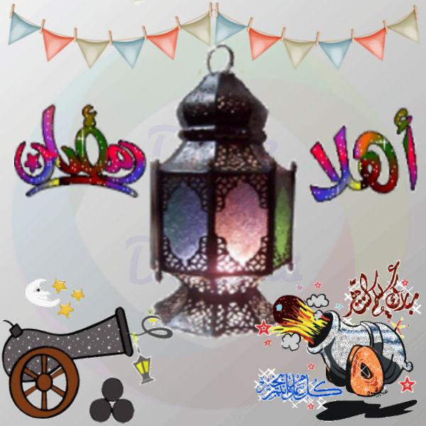 قالوا عن شهر رمضان المعظم ٠ السعيد عبد العاطي مبارك - الفايد 