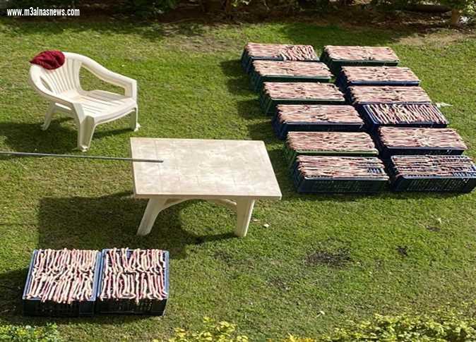  الأمن يداهم فيلا يقطنها صينيون في «مدينتي»