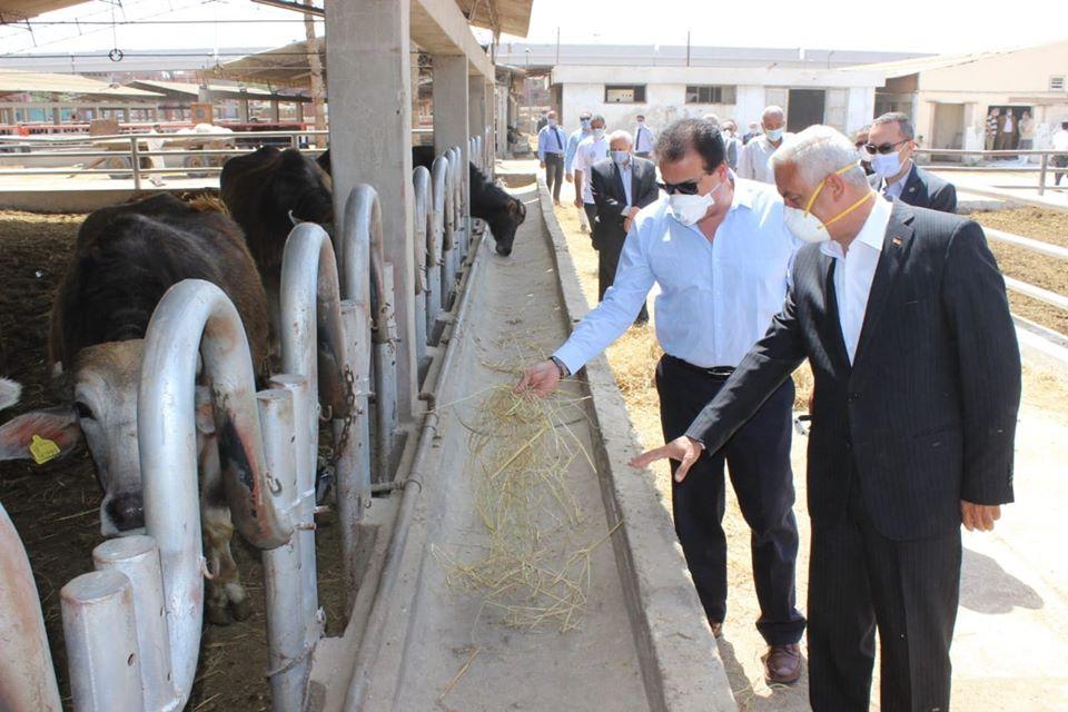 وزير التعليم العالي ورئيس جامعة بنها يتفقدان المزارع الإنتاجية بمشتهر