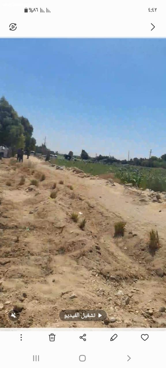 ضمن الموجة الـ 18 لإزالة التعديات محافظ أسيوط: إزالة 8 حالات تعدي على أراضي زراعية وأملاك دولة بمركزي أبنوب والفتح خلال يوم واحد