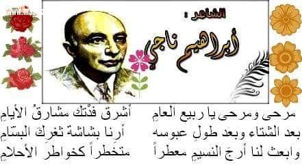 شناشيل /
