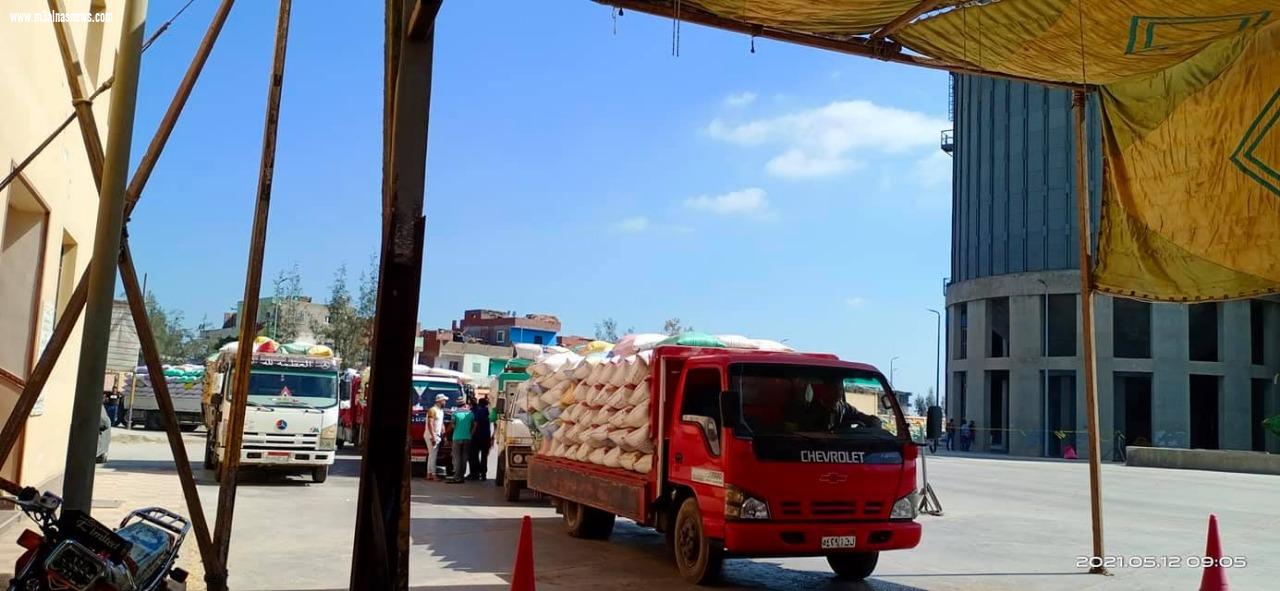 توريد 155 ألف طن من القمح لتموين كفرالشيخ