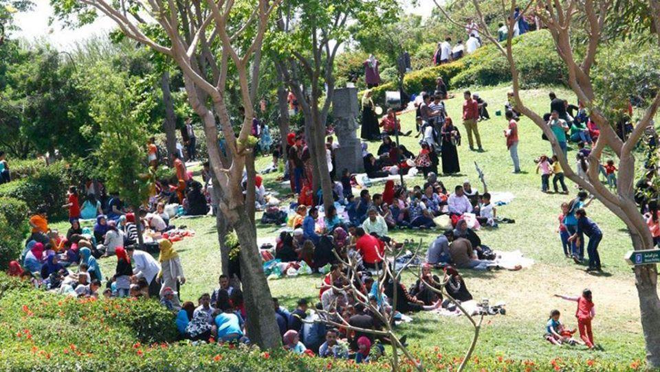 لأول مرة في التاريخ مصر بلا  شم رائحة الزهور ولا نسيم العليل