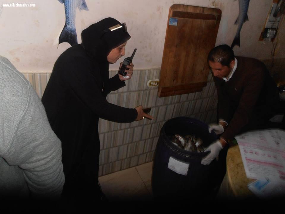 بالصور |ضبط فسيخ فاسد وغير صالح للاستهلاك الآدمي بالحامول بكفر الشيخ  