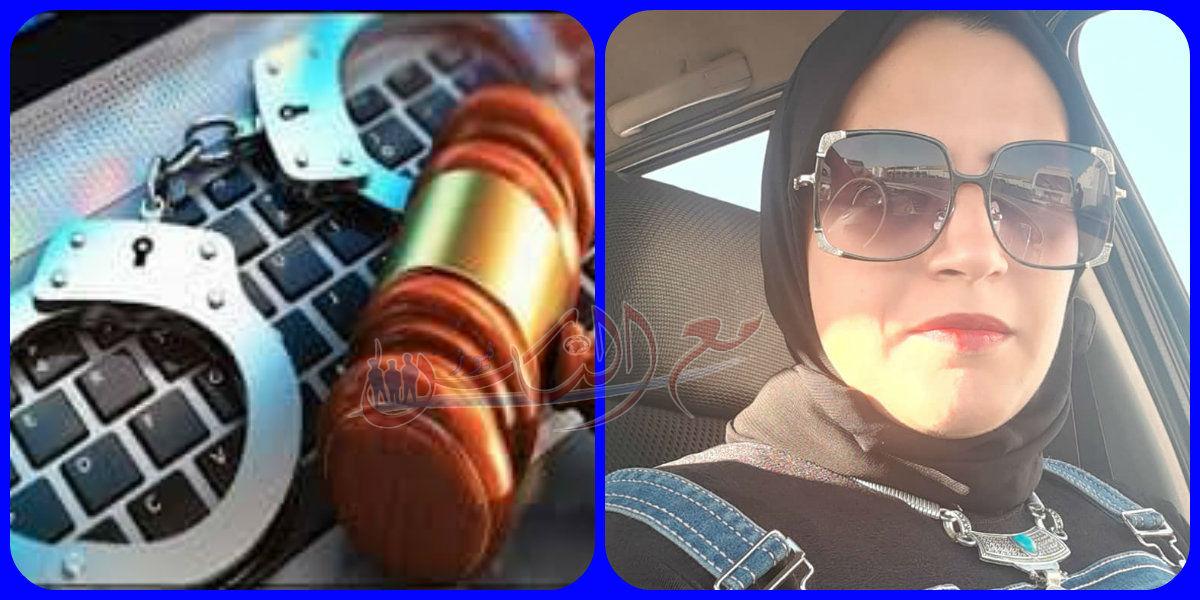 مفهوم الجرائم الإلكترونية