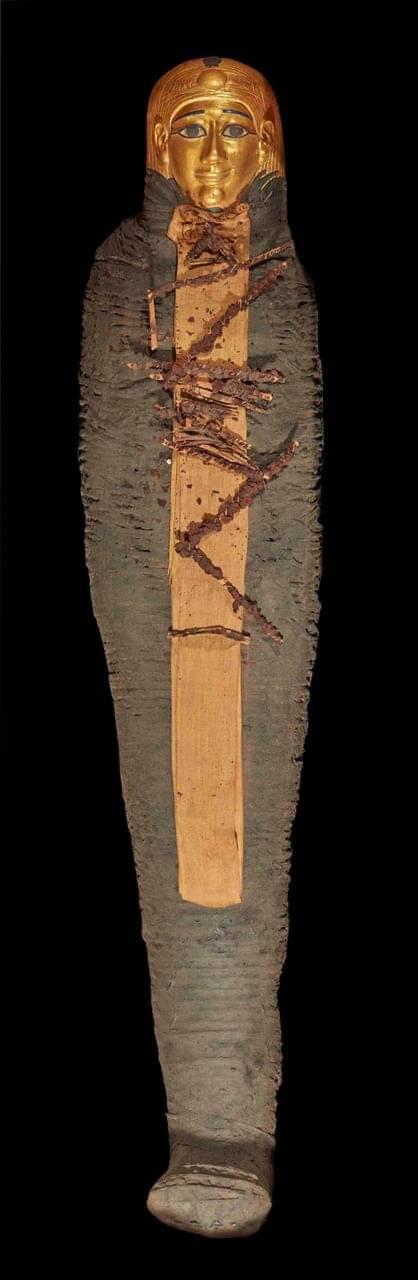 المتحف المصرى.. استلام مجموعه من القطع الاثريه تمهيدا لافتتاحه الوشيك