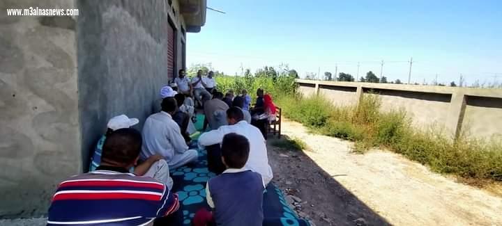 ندوة زراعية عن التوصيات الفنية والأصناف ذات الإنتاجية العالية لمحصول القطن بكفر الشيخ