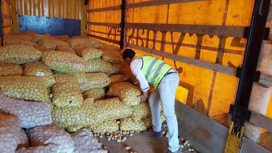 مستقبل وطن يوزع كراتين غذائية و100 طن بطاطس في كفر الشيخ 