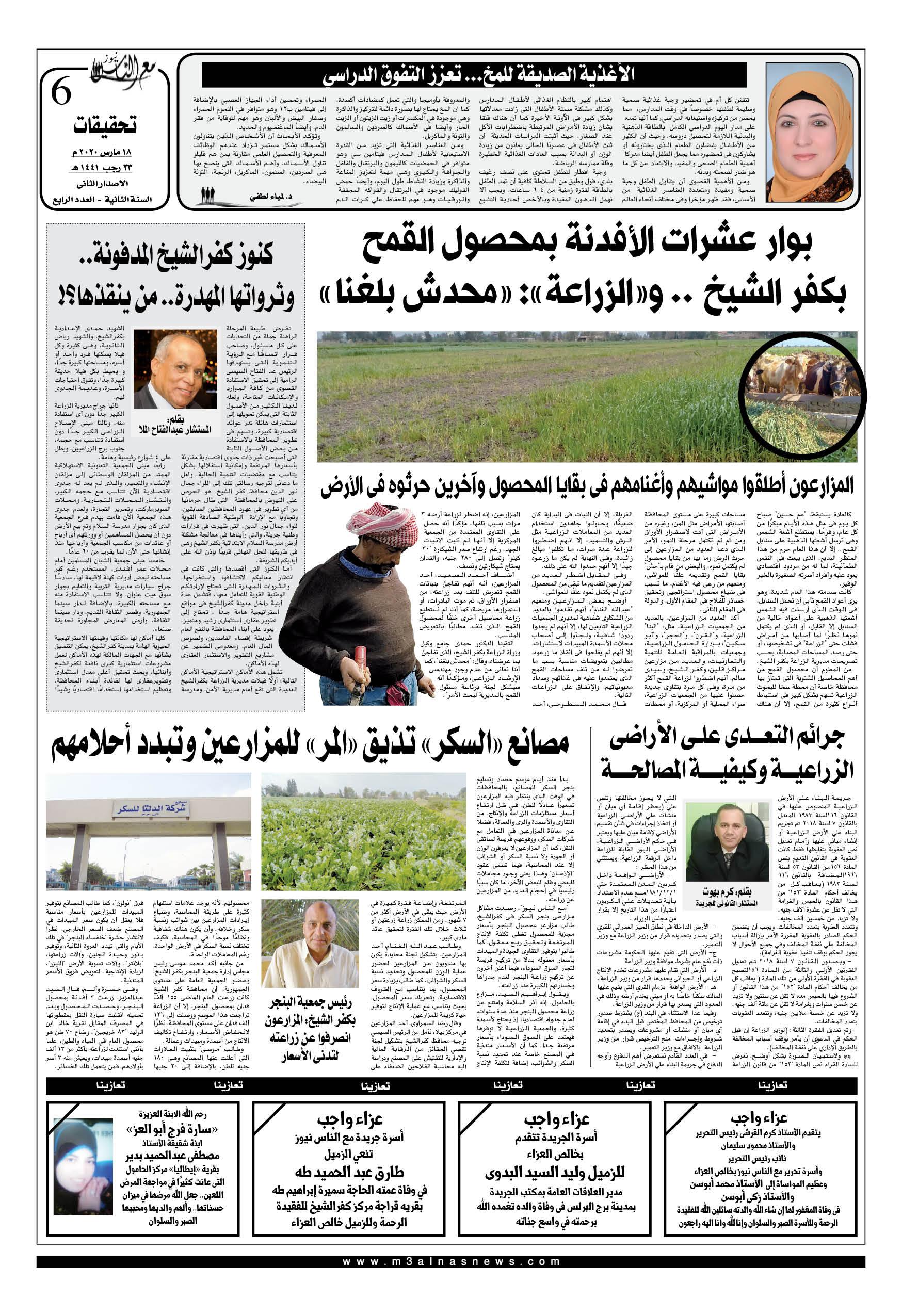 بوار عشرات الأفدنة بمحصول القمح بكفرالشيخ.. والزراعة.. محدش بلغنا