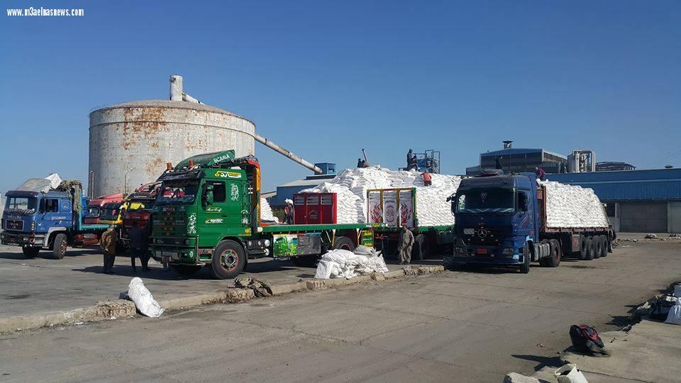 تحميل كميات من السكر بمصانع الدلتا بكفر الشيخ.. 