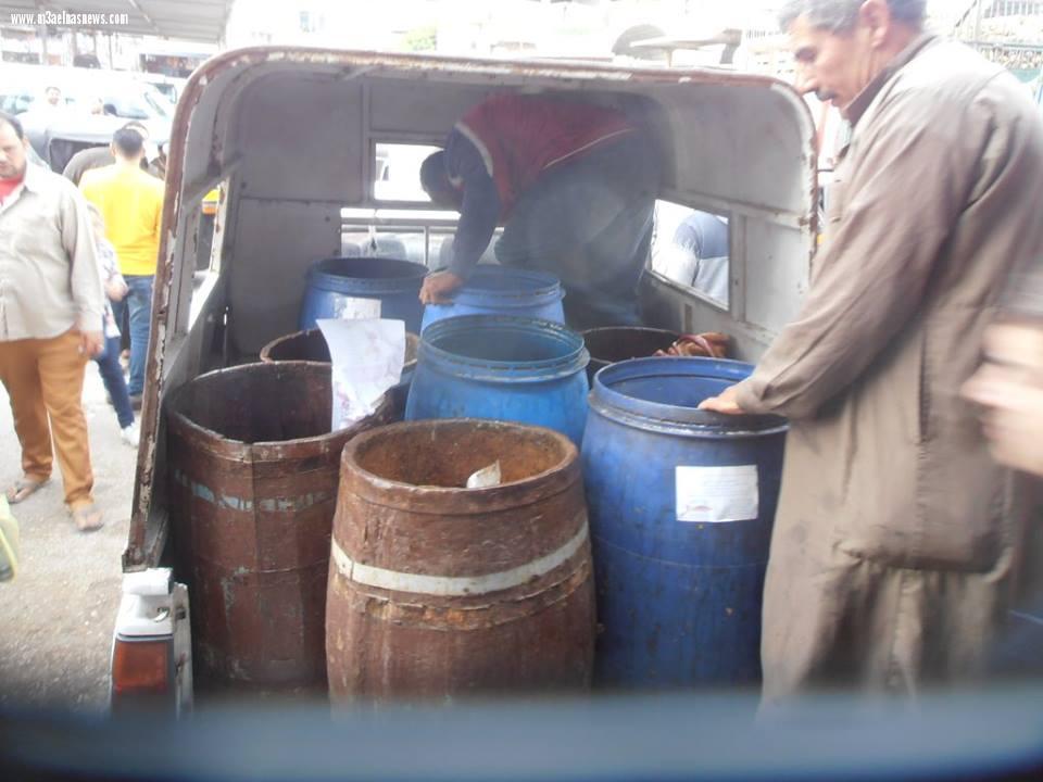 بالصور |ضبط فسيخ فاسد وغير صالح للاستهلاك الآدمي بالحامول بكفر الشيخ  