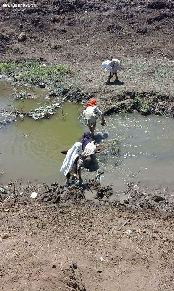 بالصور : تلاميذ يعانون  للوصول إلي مدرستهم في كفر الشيخ 