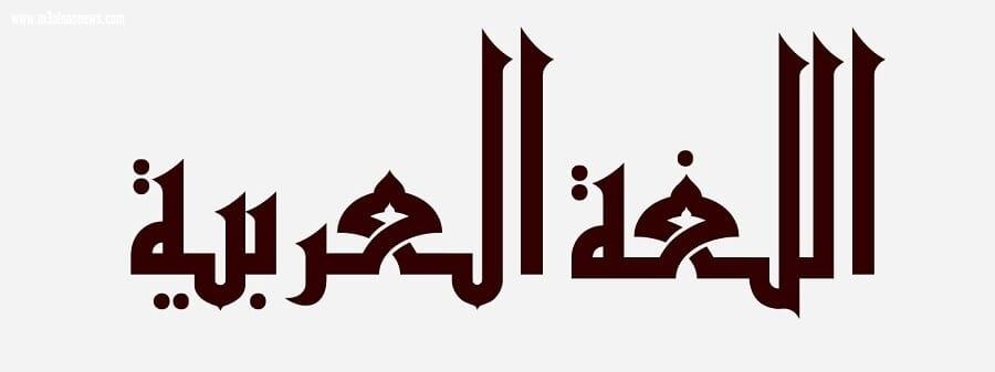 اللغة العربية 