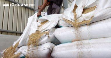 تموين كفر الشيخ: توريد 13 ألف طن قمح من المزارعين