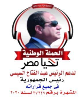 حركة شبابية تعلن دعمها للرئيس السيسى فى الانتخابات الرئاسية المقبلة 