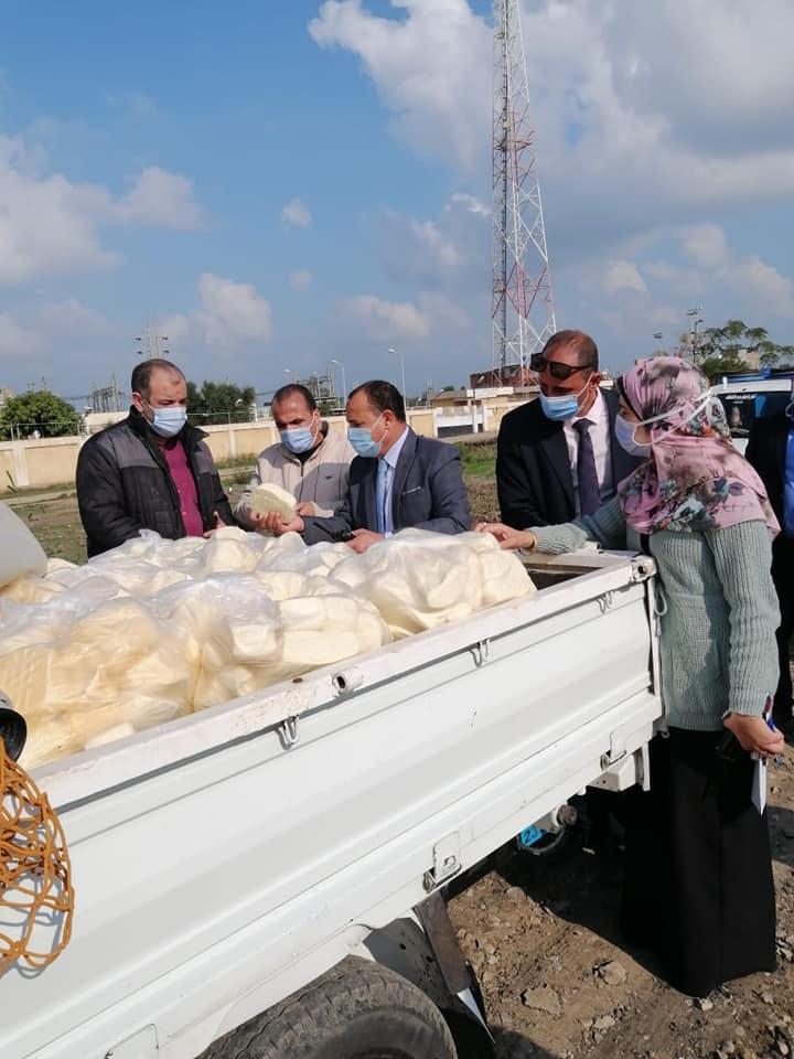 ضبط كم كبير من زريعة السمك والجبنة  الموتزاريلا مجهولة المصدر بمطوبس 