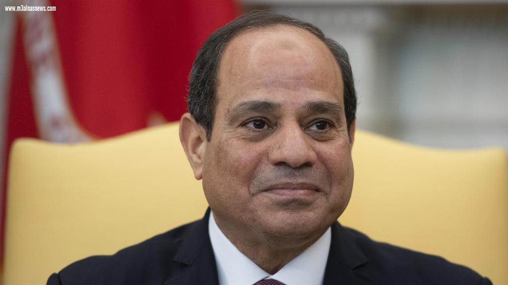 مزارعو الأرز بكفر الشيخ يستغيثون بالرئيس لفتح المضارب واستلامه بسعر عادل