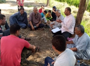 زراعة كفر الشيخ: حملات لترشيد استهلاك المياه ومدرسة حقلية إرشادية عن زراعة الأرز