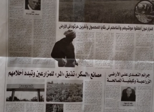 دكتورة لمياء لطفى تكتب عن الأغذية الصديقة للمخ... تعزز التفوق الدراسي