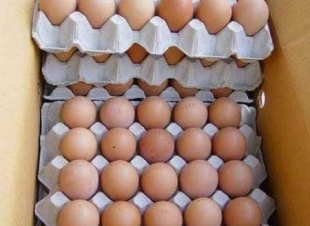 حمله خليها تبيض كل يوم بيضه الغاء تحديد نسل البيض