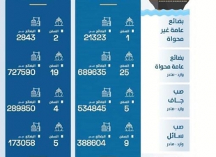 اقتصادية قناة السويس: ميناء السخنة يحقق معدلات نمو تتخطى الـ 30%