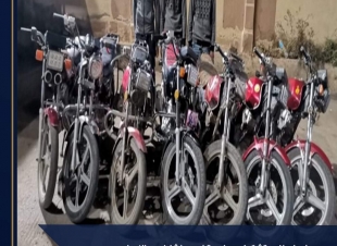 صقور الداخليه