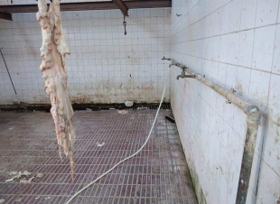 اعدام ٣٠٠كيلو اغذية غير صالحة للاستخدام الآدمى بدمياط