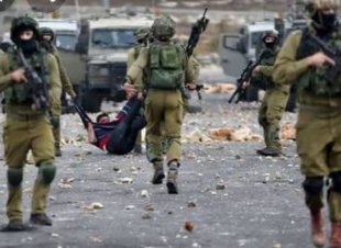 قوات الاحتلال تفرج عن 15 اسير