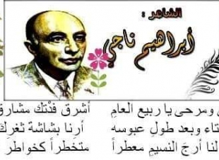 شناشيل /