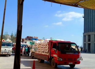 توريد 155 ألف طن من القمح لتموين كفرالشيخ