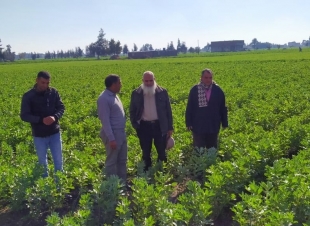 زراعة كفر الشيخ: ندوات إرشادية للمزارعين ويوم حقل لترشيد استخدام المياه