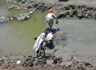 بالصور : تلاميذ يعانون  للوصول إلي مدرستهم في كفر الشيخ 