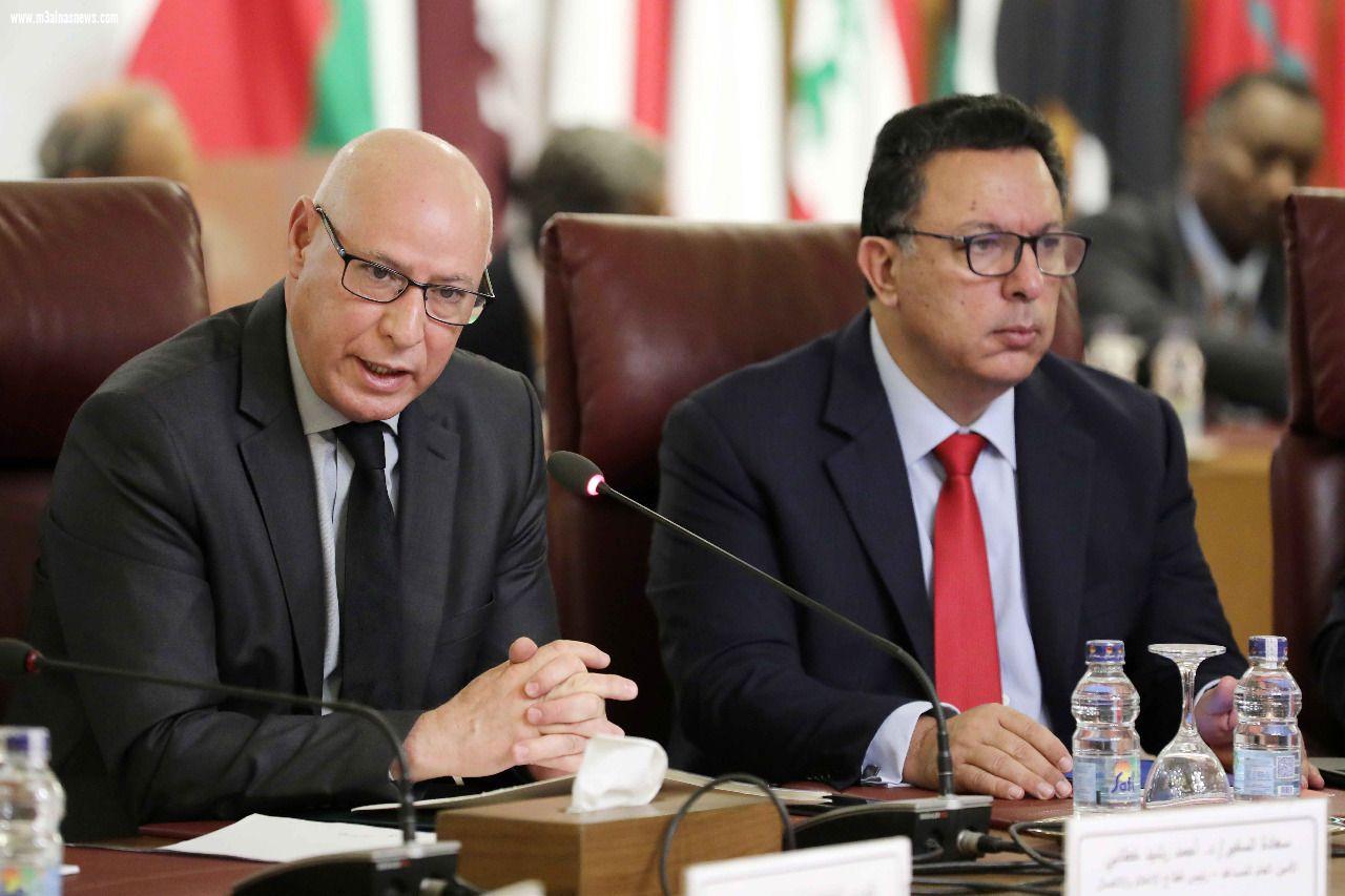  ممثلو الدول العربية اجتمعوا علي خطة تنفيذية ومشروعات محددة مشتركة
