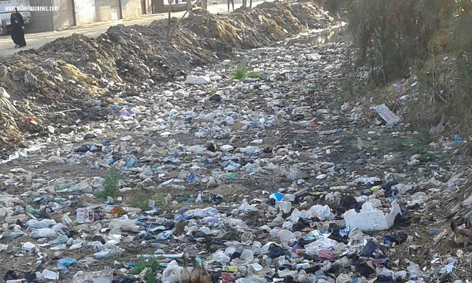 بالصور| التلوث يسيطر على المجارى المائية بقرية صيفر البلد بكفر الشيخ