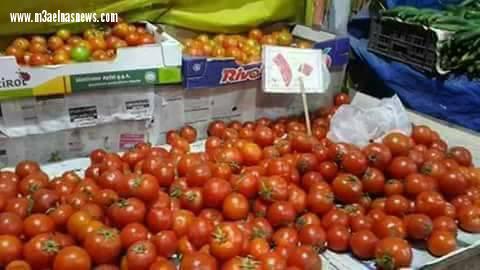 ركود داخل السوق القطاعى ببلطيم في كفر الشيخ