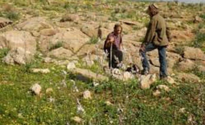 إعتداء المستوطنون على رعاة الأغنام فى بيت لحم