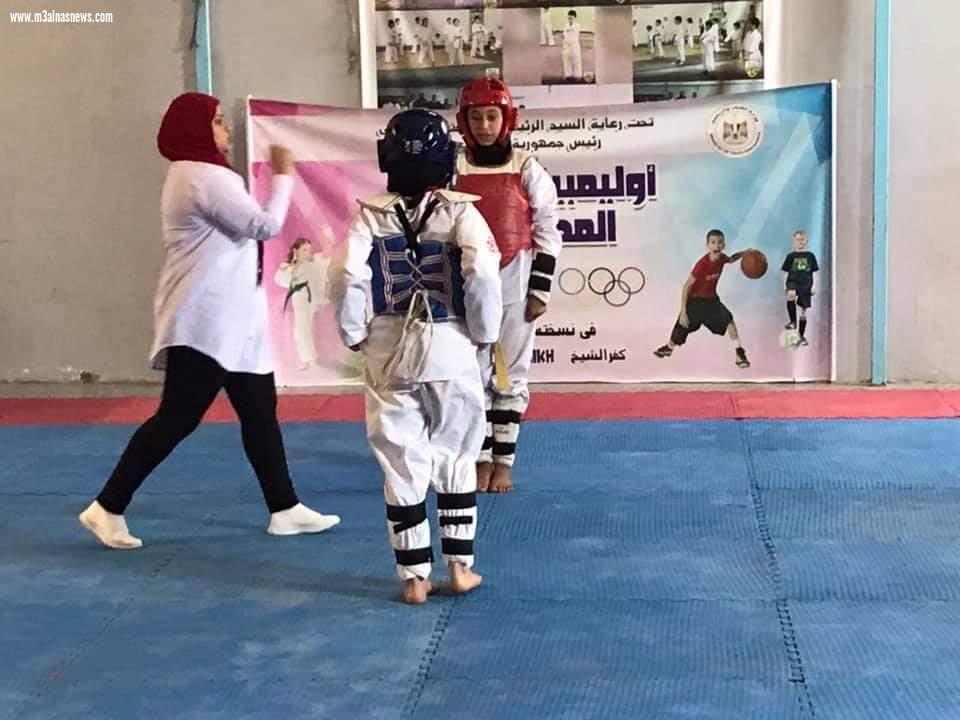 انطلاق التصفيات النهائية من اولمبياد الطفل بكفر الشيخ تمهيدا لمنافسات القطاع