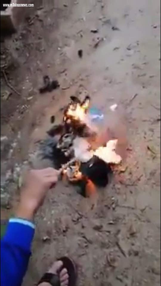 طلاسم وتعاويذ المقابر 