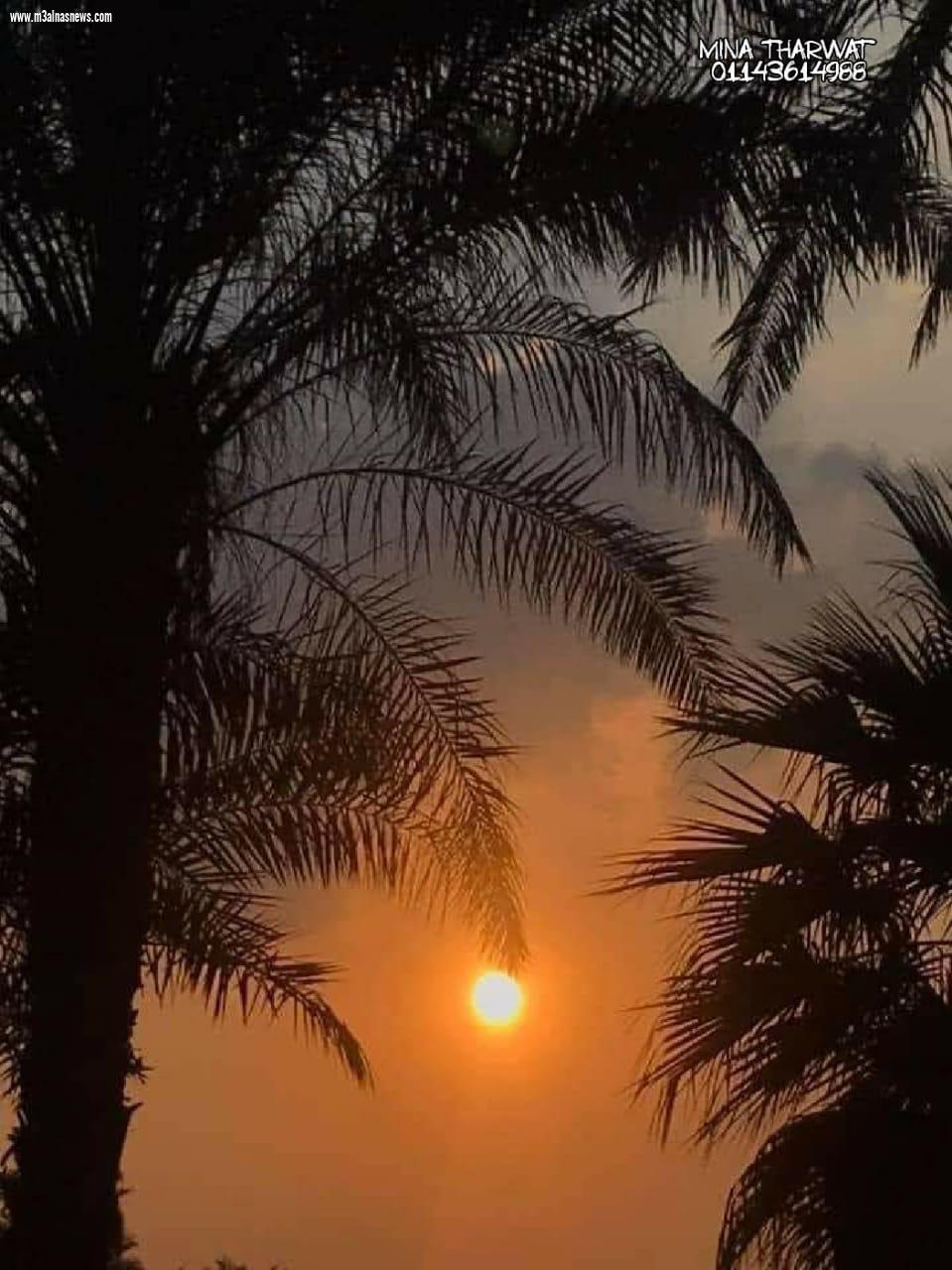 في ليِلةً ذات شتاء          حينما يتدفق بتُراب العُمر علي الوجه      شيءًُ آخر يتحدث