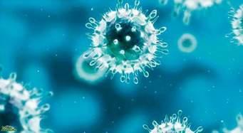 كيف تتفادى عدوى كورونا خلال العزل المنزلى