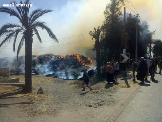 اشتعال النيران بمركز تجميع قش الأرز فى بيلا والحماية المدنية تسيطر على الحريق بعد 4 ساعات